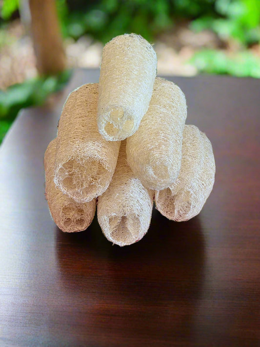 Organic Luffa Sponges